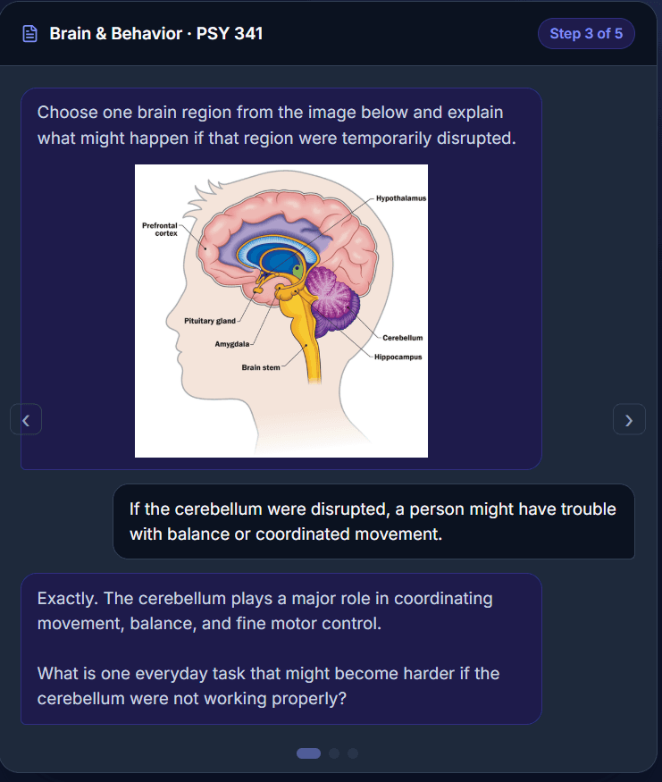 Assign AI — a brain-and-behavior assignment with an AI tutor